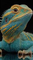 Colorful bearded dragon resting on a surface reflecting light in a dim environment photo