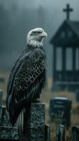 Majestic eagle perched on a stone in a misty cemetery setting surrounded by trees and old structures photo