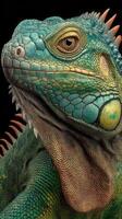 Detailed close-up of a green iguana showcasing textured scales and vibrant colors against a dark background in a natural setting photo