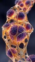 Colorful cellular structure showcasing vibrant spheres in a microscopic view with intricate patterns photo
