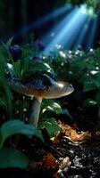 Mushroom growing in a lush forest illuminated by sunlight filtering through trees during early morning hours photo