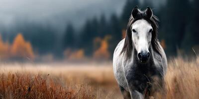 Majestic white horse roaming in a serene autumn landscape with colorful trees and misty mountains photo