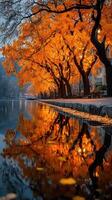 Vibrant autumn trees reflect in serene water creating a picturesque landscape at dawn photo