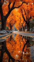 Vibrant autumn colors reflect in a puddle on a quiet street lined with trees photo