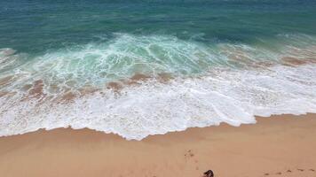 Top-down aerial view woman walking taking photos enjoy pristine sandy beach on tropical island. Turquoise waters. Freedom, solitude, and connection with nature in peaceful island paradise video