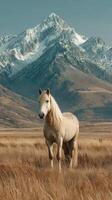 Majestic white horse standing in golden grassland with snow-capped mountains in the background during clear daylight photo