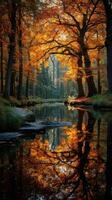 Autumn trees reflecting in calm water at a serene forest location during sunset photo