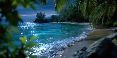 Calm night view of a tranquil beach with moonlight reflecting on the water surface photo