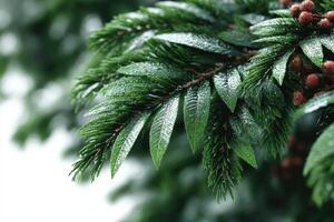 Close-up of vibrant green leaves glistening with raindrops in a natural setting during a rainy day photo
