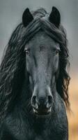 Majestic black horse with flowing mane gazes into the distance on a misty day photo