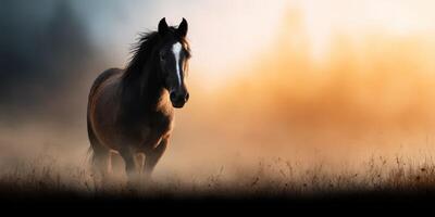Wild horse stands in the misty field at sunrise, showcasing nature's beauty and the serene atmosphere of early morning photo