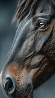 Captivating close-up of a majestic horse's face showcasing intricate details and striking features photo