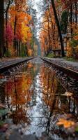 Reflective autumn scene along train tracks surrounded by colorful foliage in a serene forest setting photo