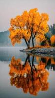 Vibrant orange tree reflects on calm water at dawn in serene natural landscape photo