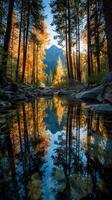 Golden autumn reflection in a serene mountain stream surrounded by tall trees photo