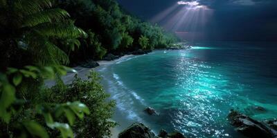 Serene tropical beach illuminated by moonlight and stars near palm trees against a night sky photo