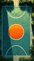 Bright orange basketball court surrounded by greenery in an outdoor setting during daylight photo