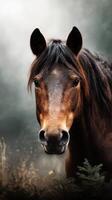 Close-up of a majestic brown horse with soft fur standing in a misty forest landscape during early morning light photo
