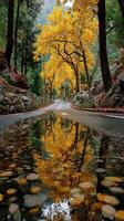 Vibrant autumn scenery with golden trees reflecting on a tranquil road after rain in a woodland setting photo