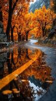 Autumn colors reflected on a winding road surrounded by vibrant foliage and a calm puddle photo