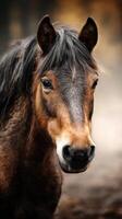 Close-up view of a majestic horse showing intricate details of its fur and expressive eyes in a natural setting during the golden hour photo
