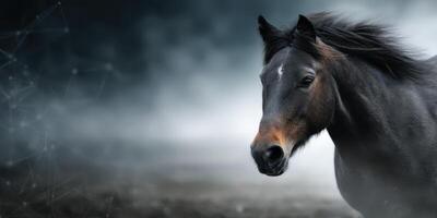 Majestic horse in a misty landscape showcasing strength and grace during early morning light photo