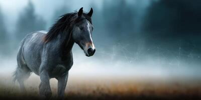 Majestic gray horse walks through misty field at dawn with fog enveloping surrounding trees and landscape photo
