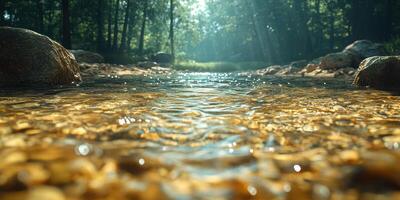 Sunlight glimmers on a serene forest stream surrounded by stones and lush greenery photo