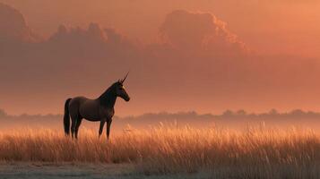 Majestic unicorn standing gracefully in a golden field at sunset with vibrant clouds in the background photo