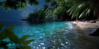 Tranquil clear waters and lush greenery along a secluded beach in the evening light photo