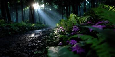 Sunlight filters through trees illuminating a forest path lined with ferns and purple flowers in a serene woodland setting photo