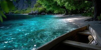 Serene turquoise waters and beach covered in greenery during a calm day at a tropical destination photo