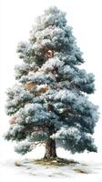 Majestic snow-covered pine tree stands tall in a winter landscape under bright sunlight photo