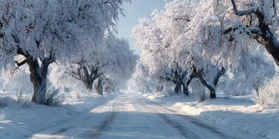 Snow-covered road lined with frost-covered trees in a serene winter landscape during daylight hours photo