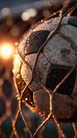 Soccer ball caught in net glistening with moisture during sunset at an outdoor field photo
