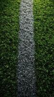 Green turf field with white line marking for sports activities captured during bright daylight photo