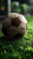 Rain-soaked soccer ball resting on lush grass with the words Thank You engraved photo