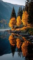 Autumn trees reflecting on calm water in a serene landscape by a mountain river at dawn photo