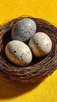 Nest holding three speckled eggs on a bright yellow background showcasing nature's beauty and intricate designs photo
