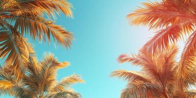 Warm palm trees reach toward the bright blue sky during a sunny summer afternoon in a tropical paradise photo