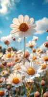 Bright wildflowers bloom under a blue sky during a sunny afternoon in a vibrant meadow filled with flora photo