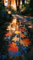 Vibrant autumn leaves float on a tranquil puddle reflecting golden sunlight in a serene forest setting photo
