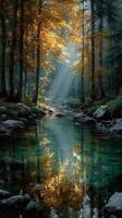 Light filters through autumn trees reflecting in a serene forest stream at dawn photo