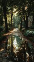 Peaceful park path lined with trees and reflections after rain on a sunny afternoon photo