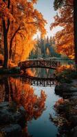 Enchanting autumn landscape with a wooden bridge reflecting in still waters at a serene park during sunset photo