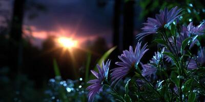Beautiful sunset illuminates blooming flowers in a tranquil garden during twilight hours photo