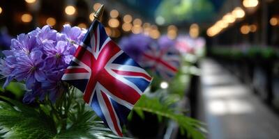 Colorful purple flowers with a British flag accent in a vibrant indoor garden setting photo