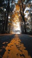 Friends enjoying a joyful run down a tree-lined path on a sunny autumn day photo