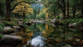 Serenity in a tranquil forest river surrounded by vibrant autumn foliage at sunset photo