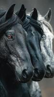Majestic horses showcasing unique colors and textures in close-up portrait during early morning light photo